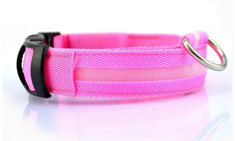 Fetchory Adventure Collar
