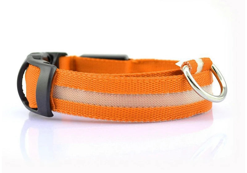 Fetchory Adventure Collar