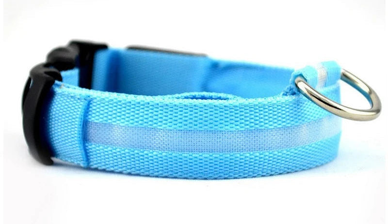 Fetchory Adventure Collar