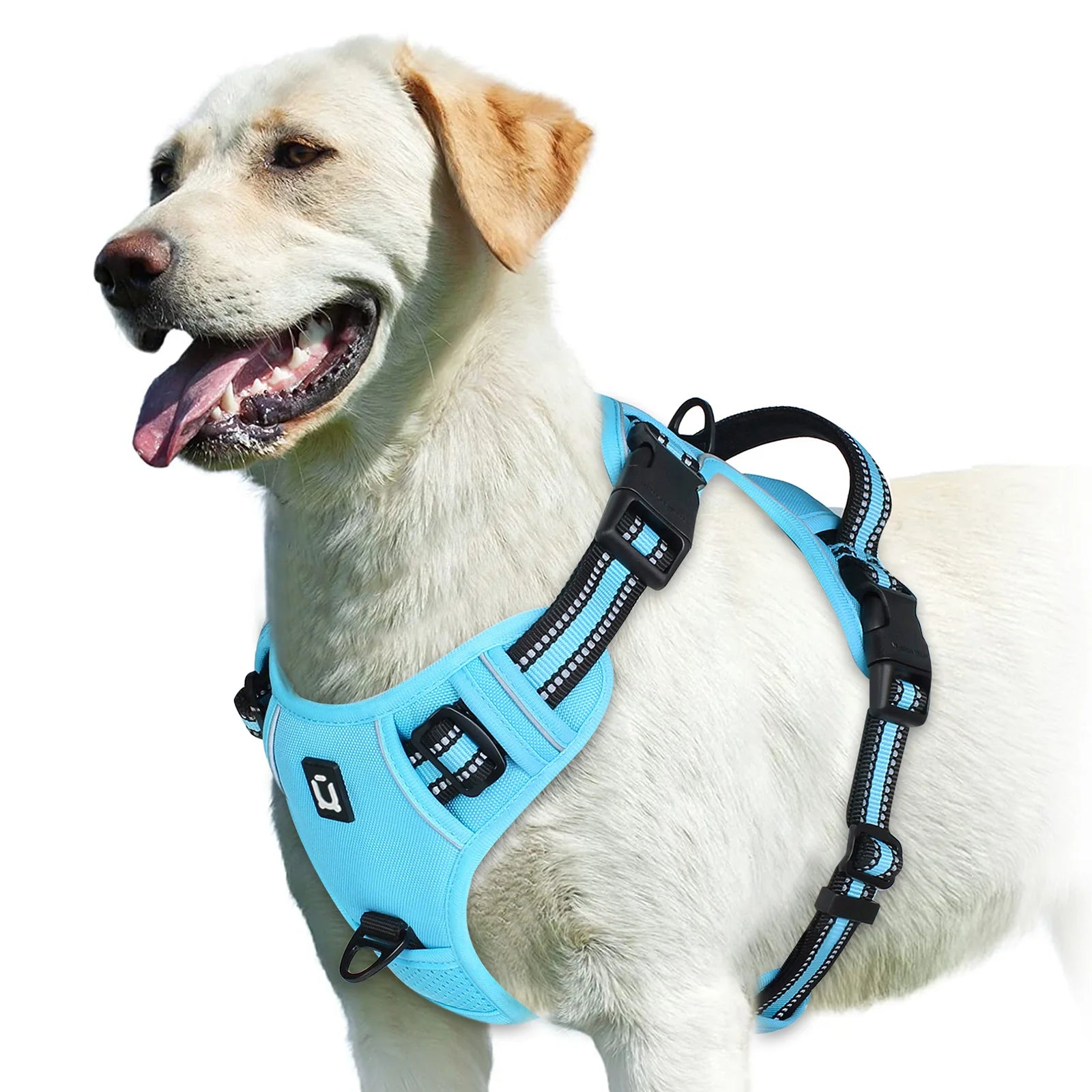 Fetchory Explorer Harness