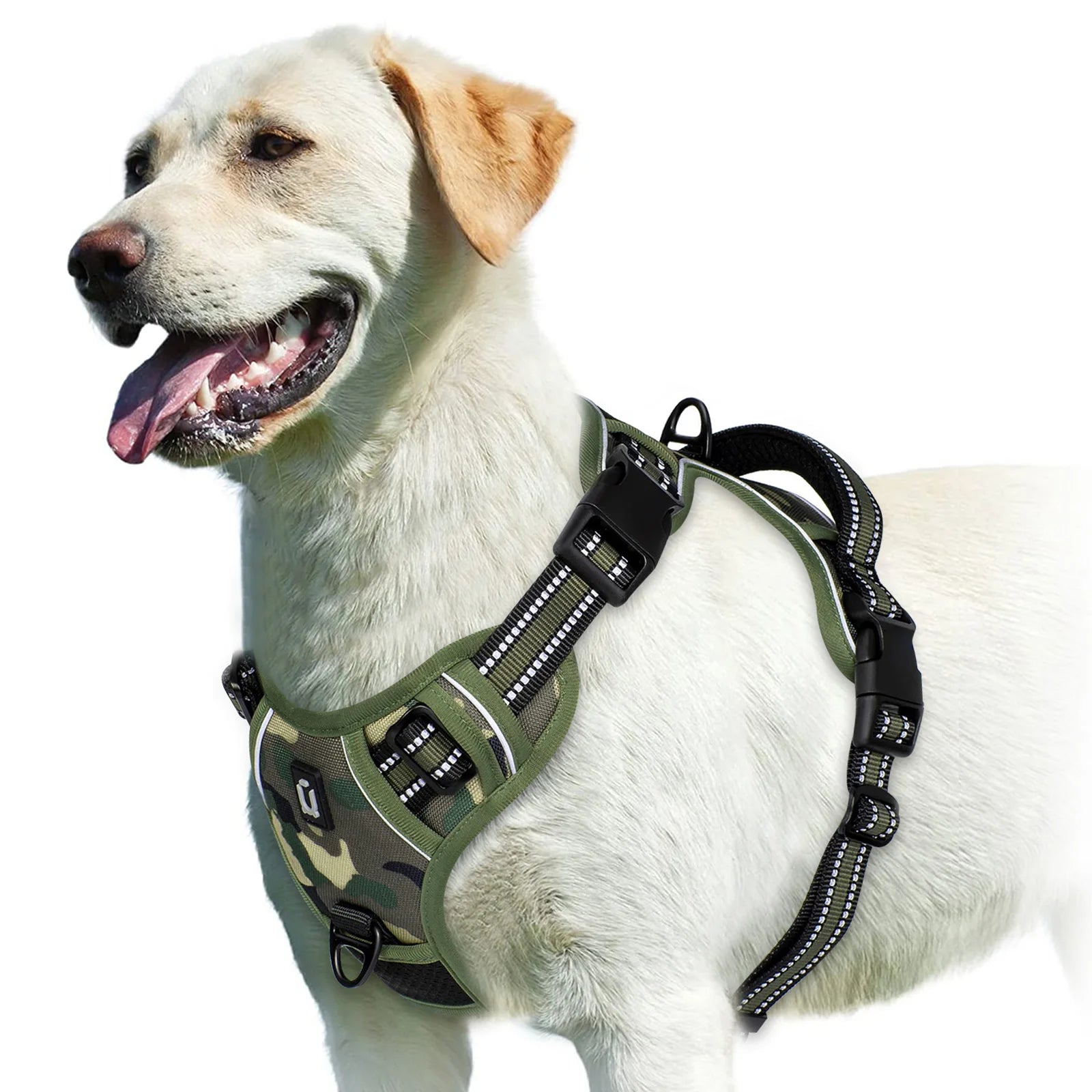 Fetchory Explorer Harness