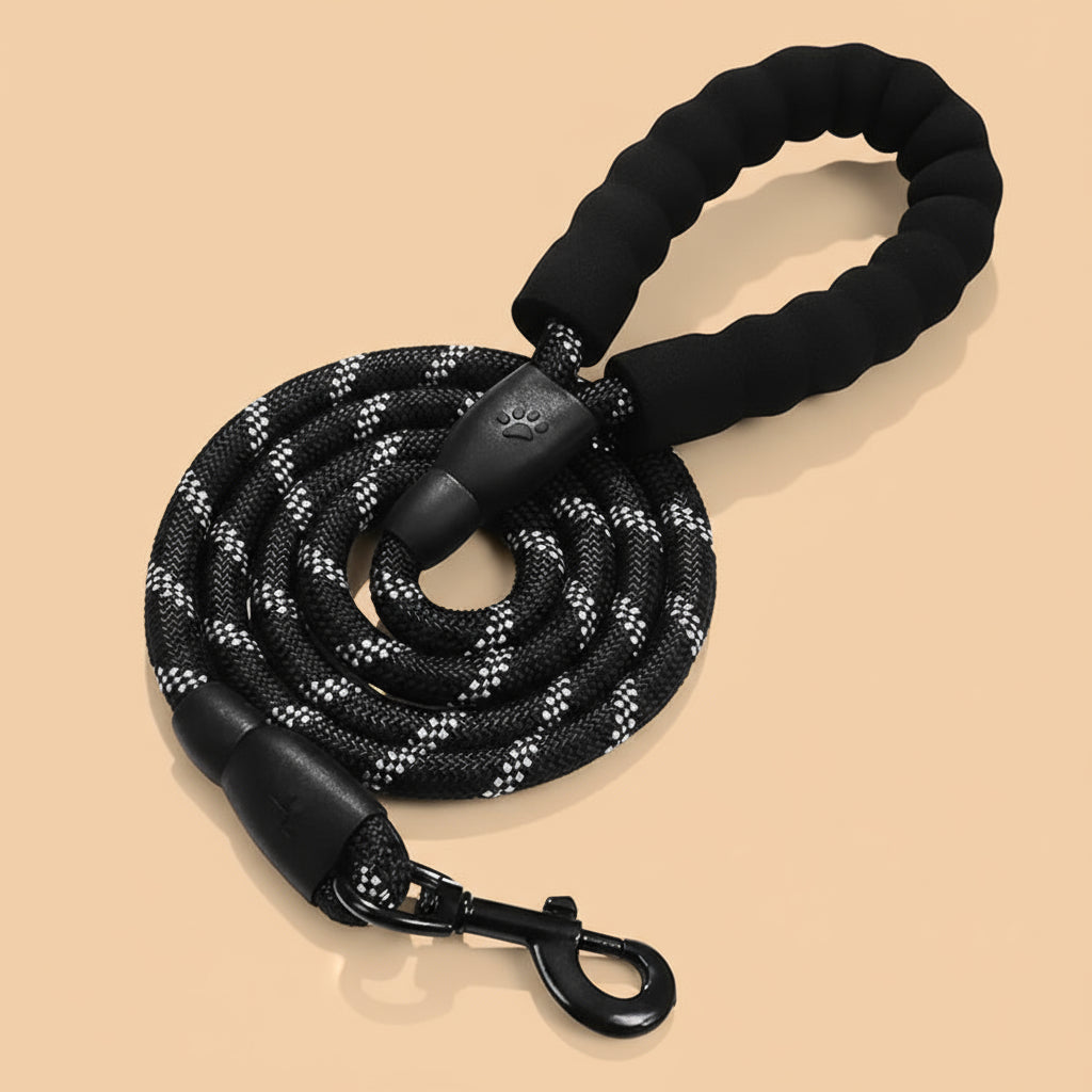 Fetchory Adventure Leash