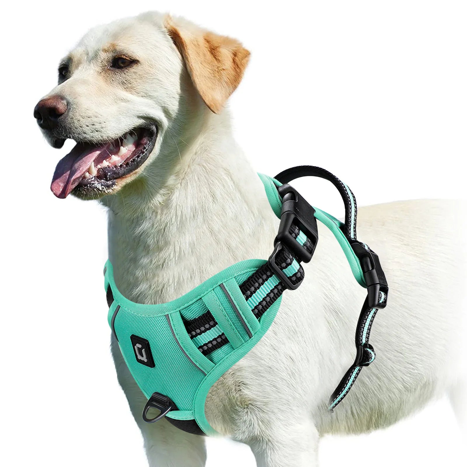 Fetchory Explorer Harness