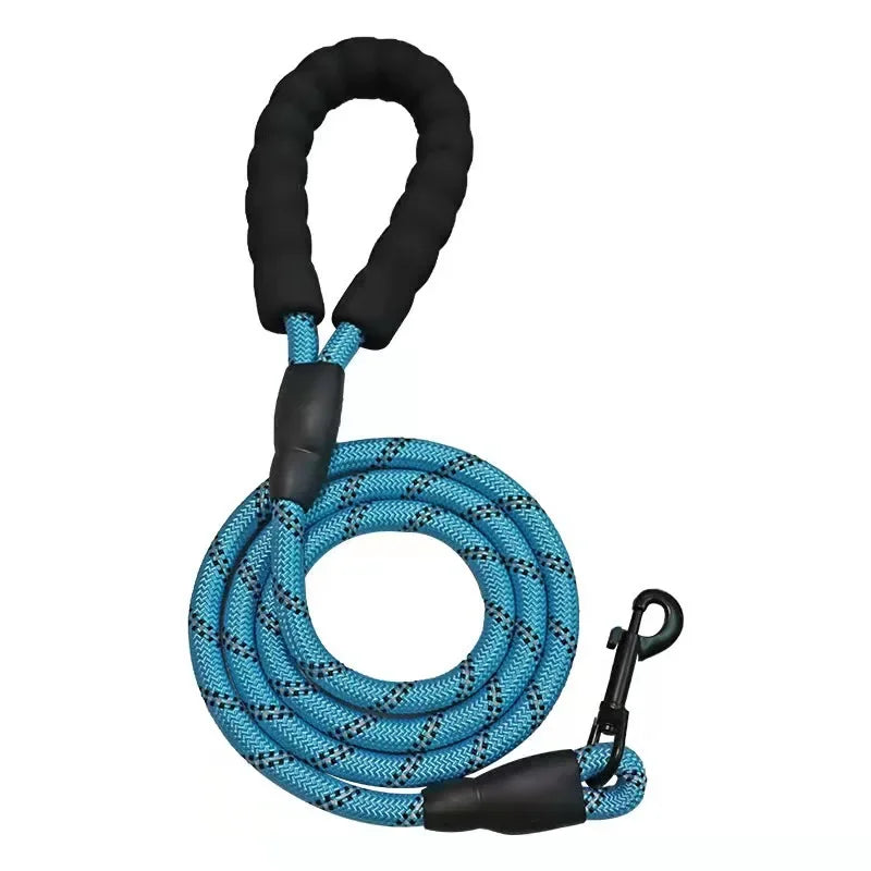 Fetchory Adventure Leash