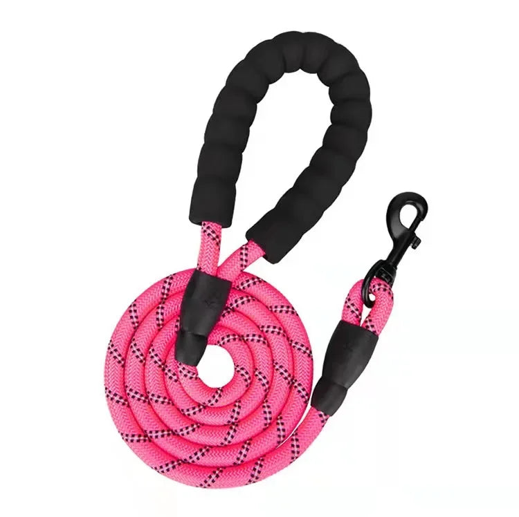 Fetchory Adventure Leash