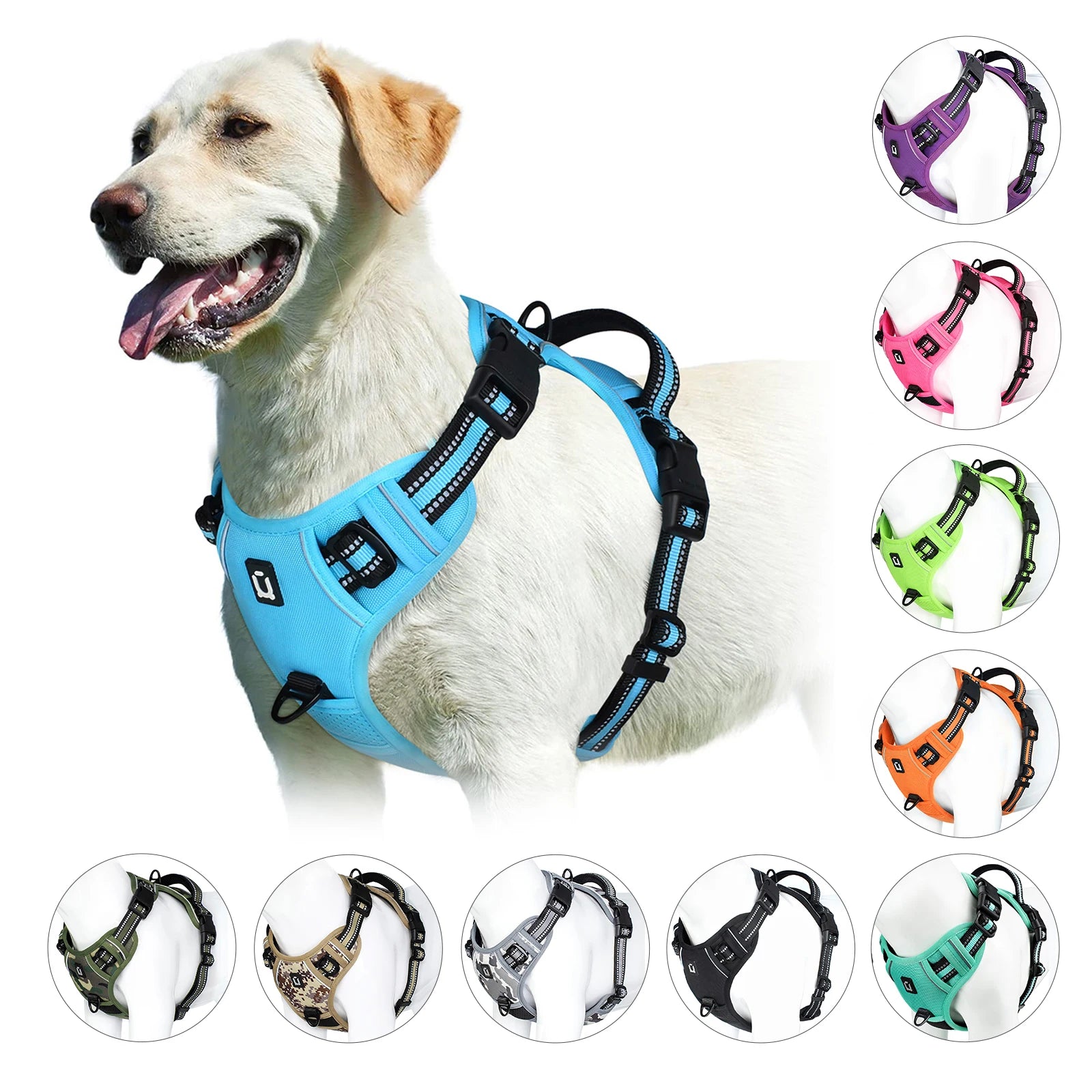 Fetchory Explorer Harness
