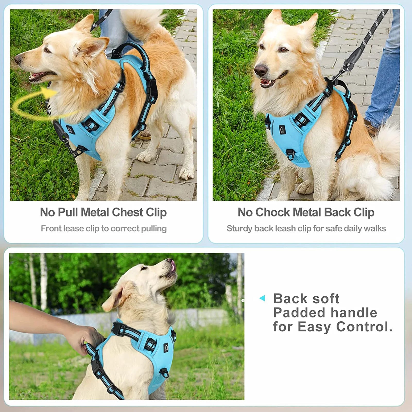 Fetchory Explorer Harness