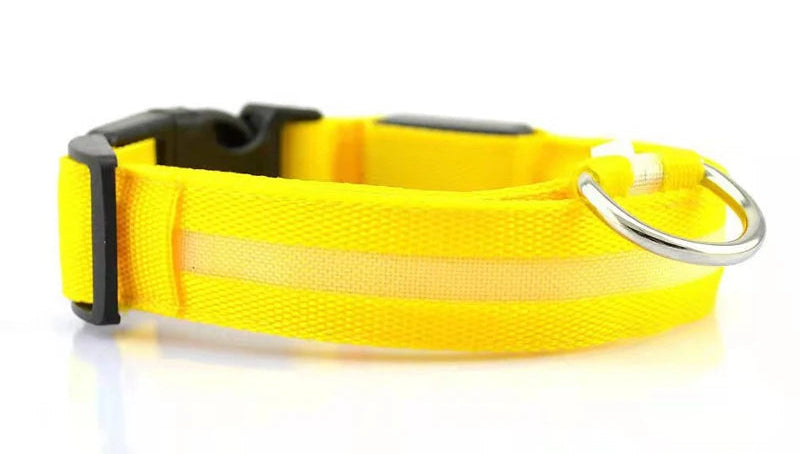 Fetchory Adventure Collar