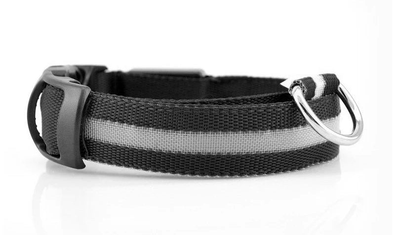 Fetchory Adventure Collar