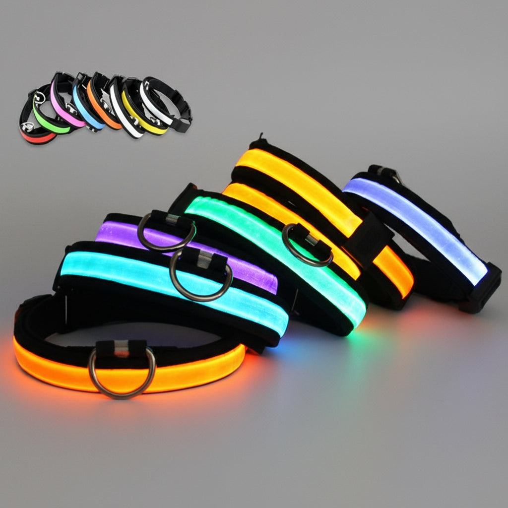 Fetchory Adventure Collar