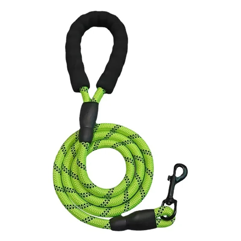 Fetchory Adventure Leash