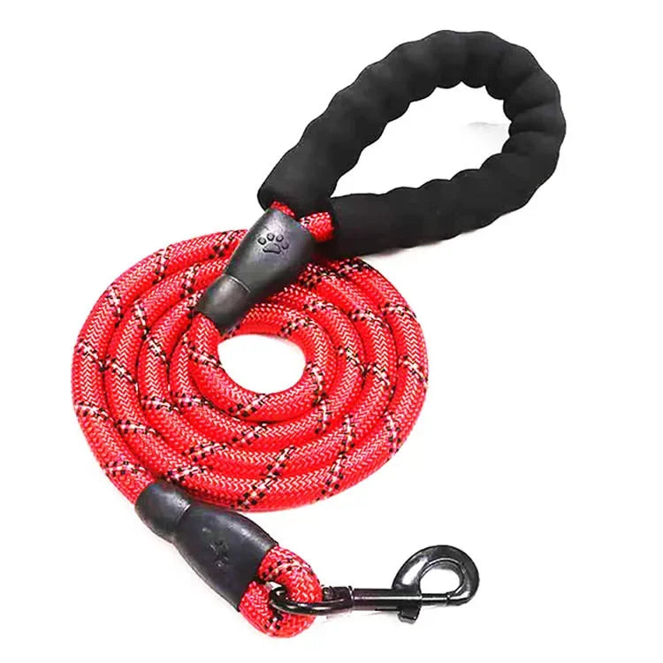 Fetchory Adventure Leash