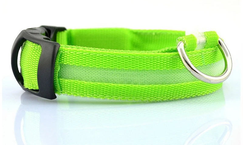 Fetchory Adventure Collar