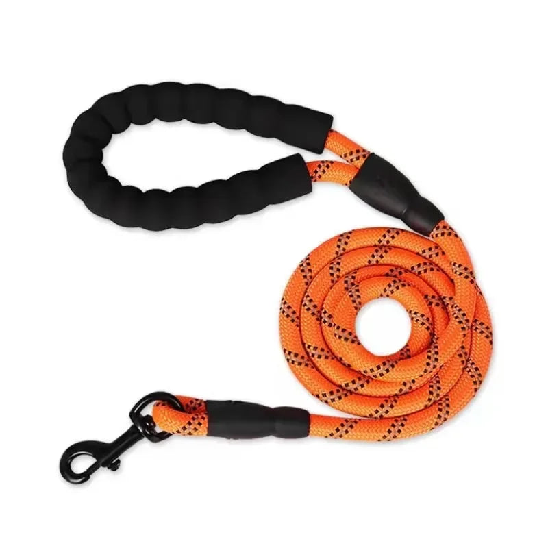 Fetchory Adventure Leash