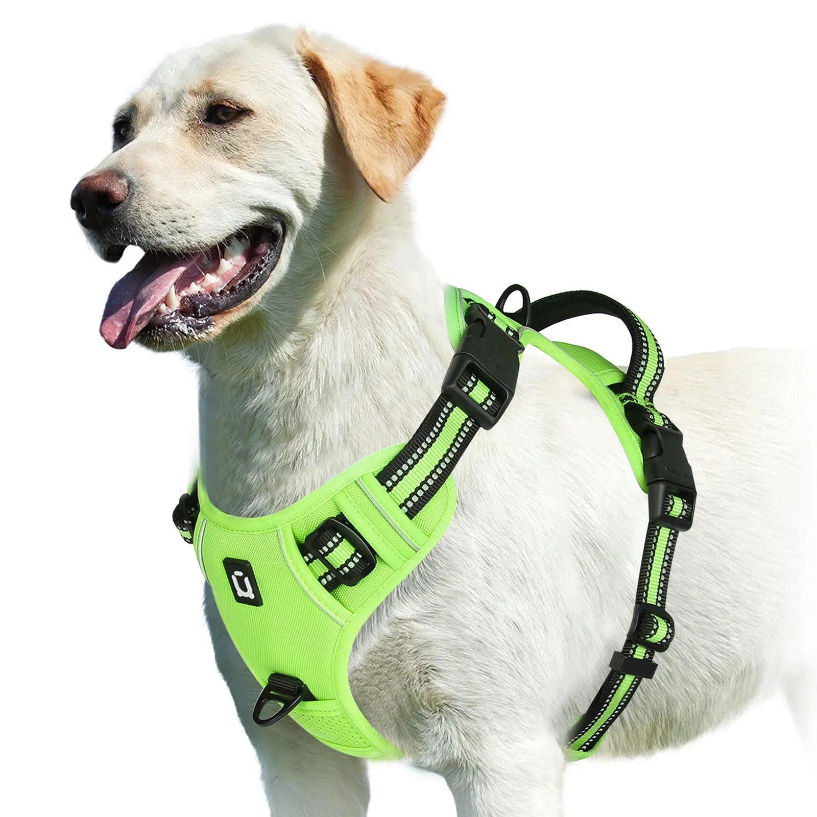Fetchory Explorer Harness